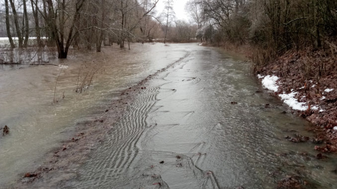 Hochwasser während der Gassirunde! Hier ging es ja noch, aber als es tiefer wurde, habe ich gestreikt! Ich bin doch kein portugiesischer Wasserhund...