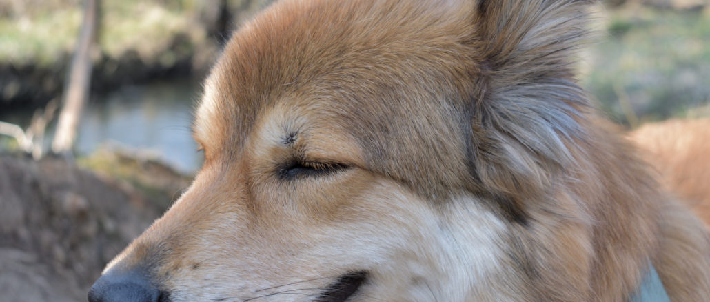 »Ooh, da werd ich ja ganz verlegen. Du bist heute schon der Dritte, der mir zum Geburtstag gratuliert und sagt, wie jung ich noch aussehe. Dabei habe ich mich doch gar nicht besonders zurechtgemacht...«